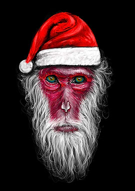 Santa Monkey - Merry Christmas from me. :)