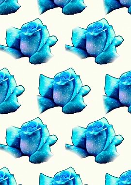 blue roses