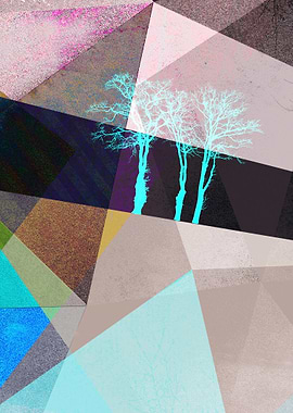 P16-E TREES AND TRIANGLES