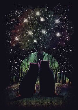 Under Southern Lights