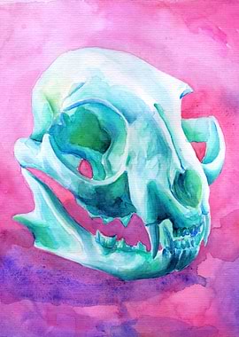 cat skull watercolour painting #5 for a skull watercolo ...