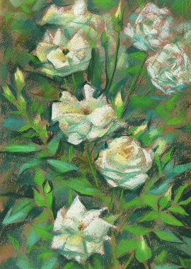 White Roses, Green Leaves
