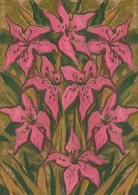 Pink Lilies