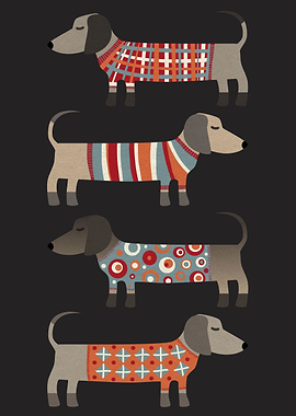 Sausage Dogs in Sweaters