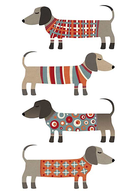 Sausage Dogs in Sweaters