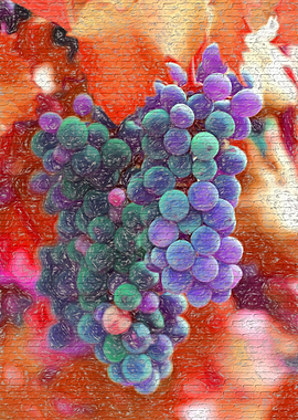 grape and vineyard