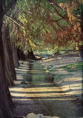 reflection on river in autumn