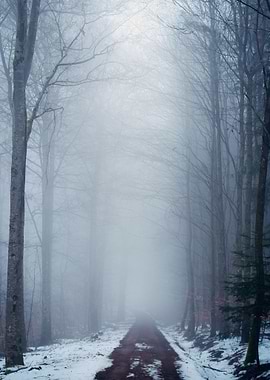 Taken with Nikon D5300.