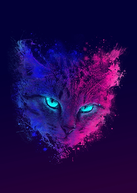 Space Gaze