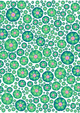 Digital illustration or drawing of a peyote cactus plan ...