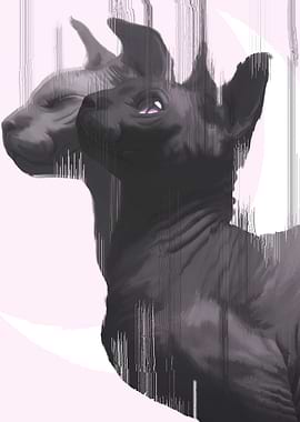 Failure to travel to the moon