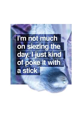 For those who aren't all about the Carpe Diem