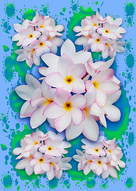 Plumeria Bouquet Exotic Summer Pattern