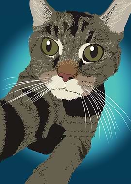 A cute gray cat Sweet Pea