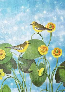 One Morning in the Water Lily Pond