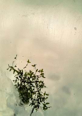 Abstract ice texture