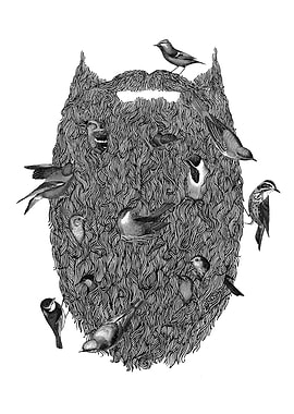 Bird Beard