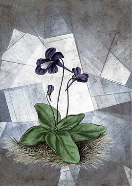 Abstract Floral Architecture