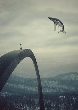 Boy and the flying whale