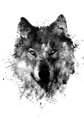 wolf like me