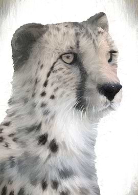 isolated cheetah in the jungle