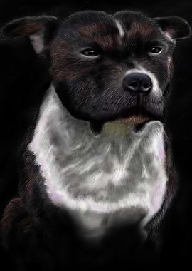 'What are you looking at, hm?'