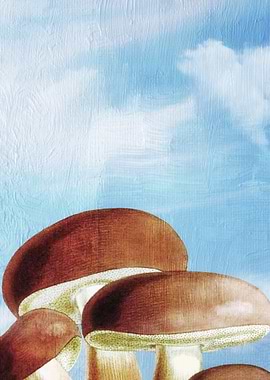 Mushrooms Heaven