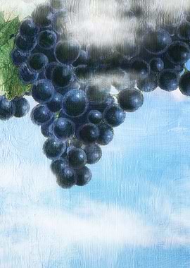 Grapes Heaven