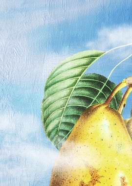 Pears Heaven