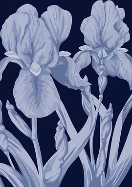 Blue iris
