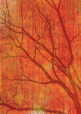 Tree branches silhouettes.