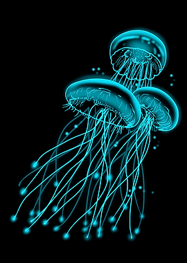 Jellyfish