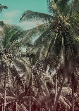 Tropical island dreaming.