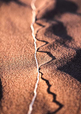 The sun stood low and was throwing spectacular shadows. ...