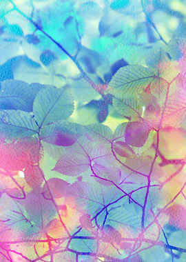 Spring is in the Air #6