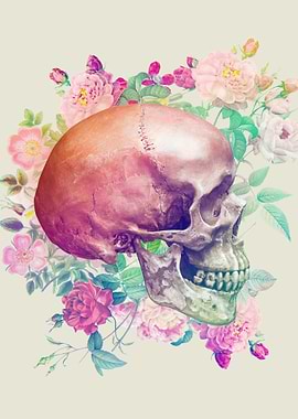 Skull Colorful