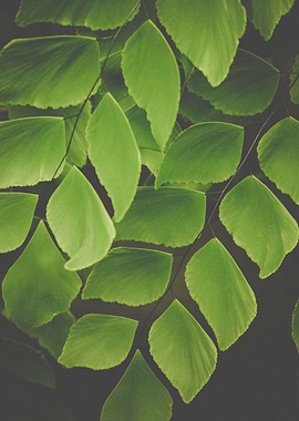 Greenhouses are a favorite place to explore. This was t ...