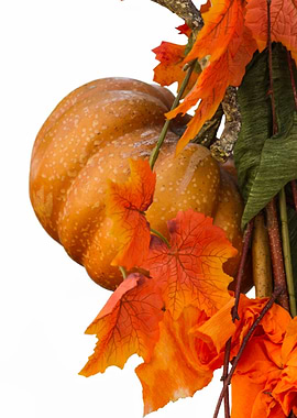isolated decorative pumpkins