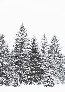 BLACK WINTER by Monika Strigel