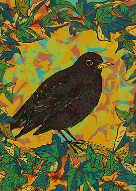 Beautiful proud blackbird in amongst the ivy in a garde ...