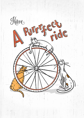 Cats & bikes = a purrfect connection... so remember to ...