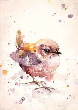 'Fluffy Le Wren' Water Colour Art
