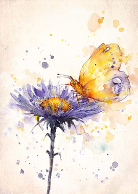 'Flowers & Flutters' Water Colour Art