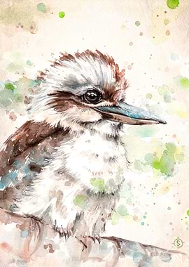 'A Kookaburra's Gaze' Water Colour Art