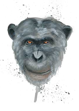 I am my brothers brother, this mind is my own and it ma ...