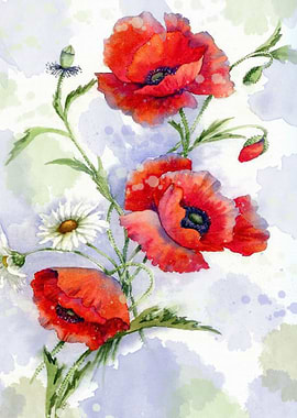 Poppies 08