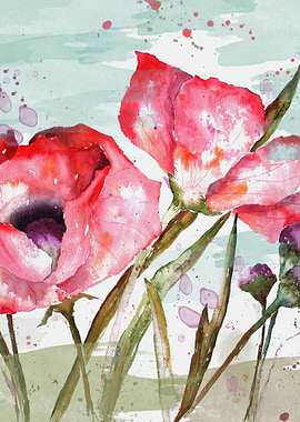 Poppies 05