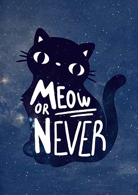 Now/Meow or never