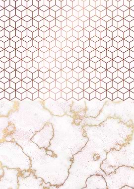 MARBLE & ROSEGOLD HEXAGONA