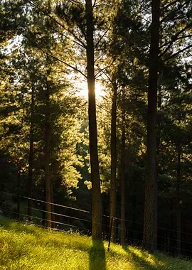 Blenheim, New Zealand
